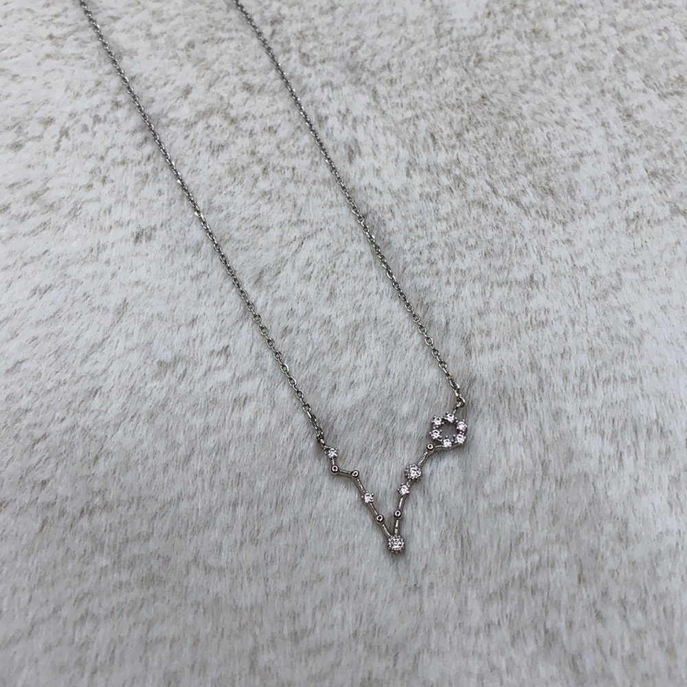 Silver Pisces ♓️ Constellation Necklace